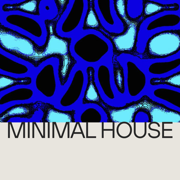 Minimal House