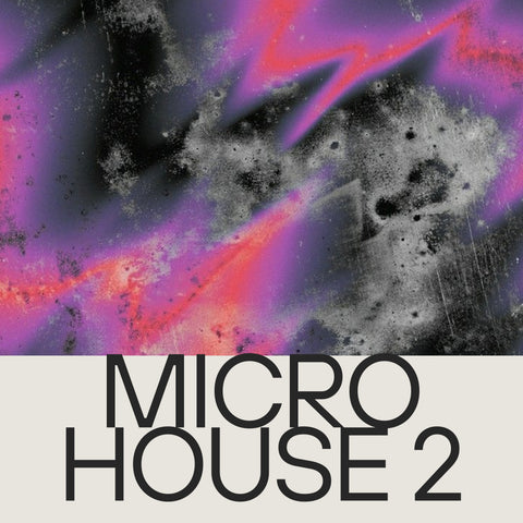 Micro House 2