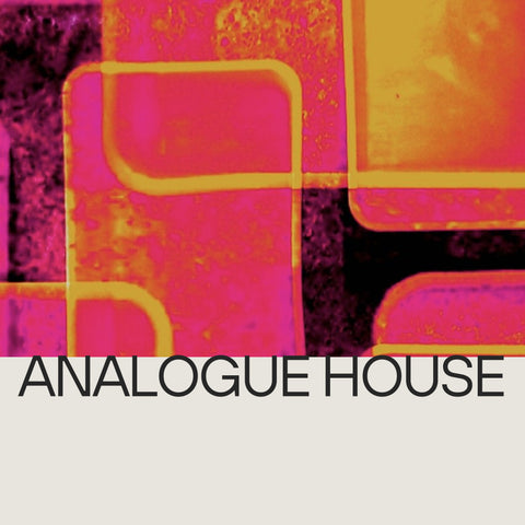 Analogue House