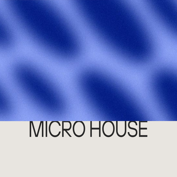 Micro House