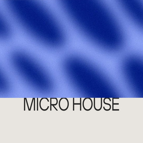 Micro House