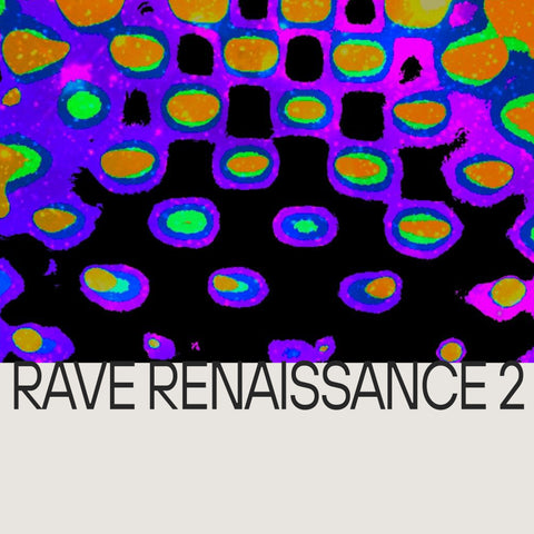 Rave Renaissance 2